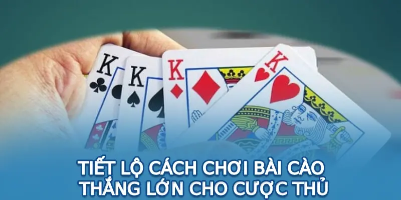 Tiết lộ cách chơi bài cào thắng lớn cho cược thủ